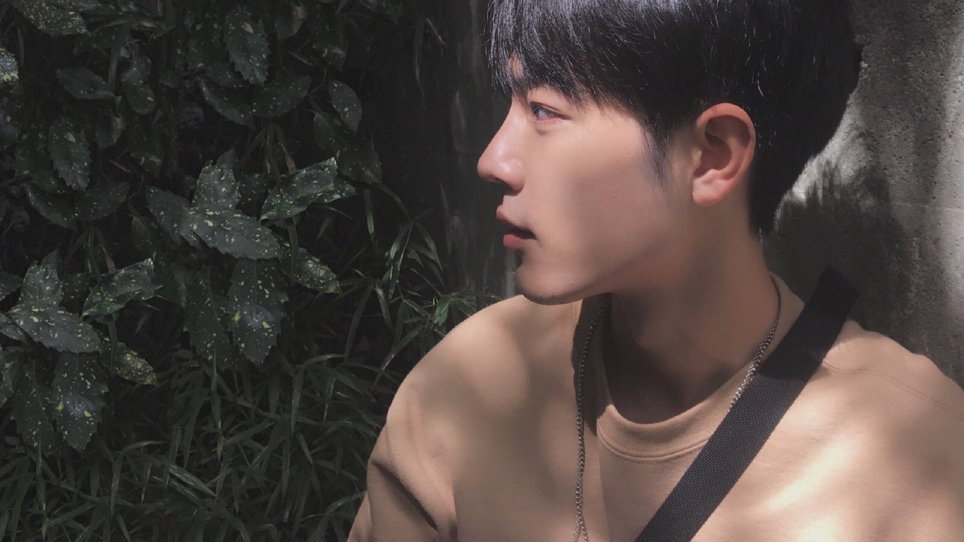 “帕布罗·马特拉的战术革新，打造美洲狮队的防守新纪元”